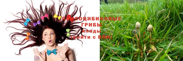 тгк Абдулино