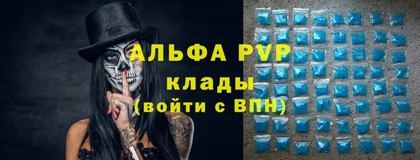 гашик Няндома