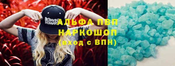 прущие крисы Абинск
