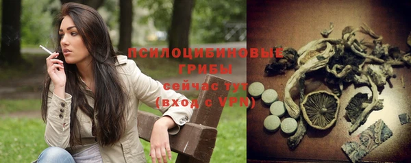 тгк Абдулино